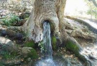 foto: al-ghafuru.blogspot.com