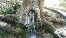 foto: al-ghafuru.blogspot.com