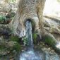 foto: al-ghafuru.blogspot.com