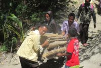 menggotong babi di dalam kandang melewati jalan setapak menurun (foto: Roni)