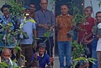 Anggota DPR RI Usman Husen bagikan anakan pohon kepada masyarakat Pakubaun, Amarasi Timur.