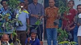 Anggota DPR RI Usman Husen bagikan anakan pohon kepada masyarakat Pakubaun, Amarasi Timur.