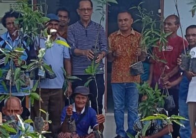 Anggota DPR RI Usman Husen bagikan anakan pohon kepada masyarakat Pakubaun, Amarasi Timur.