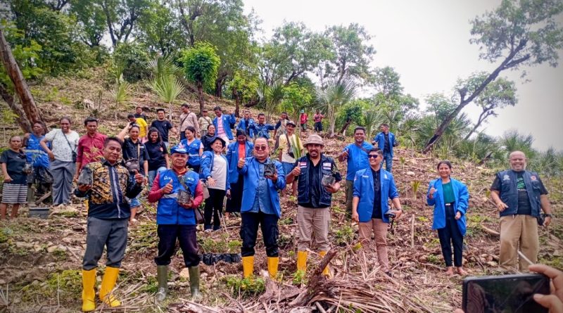 Penanaman ribuan anakan pohon bersama Sinode GMIT, GAMKI NTT, dan CIS TIMOR di Fatuleu Barat.