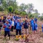 Penanaman ribuan anakan pohon bersama Sinode GMIT, GAMKI NTT, dan CIS TIMOR di Fatuleu Barat.
