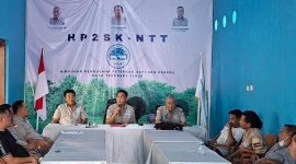 Rapat internal Himpunan Pengusaha Peternak Sapi dan Kerbau Provinsi Nusa Tenggara Timur (HP2SK NTT).