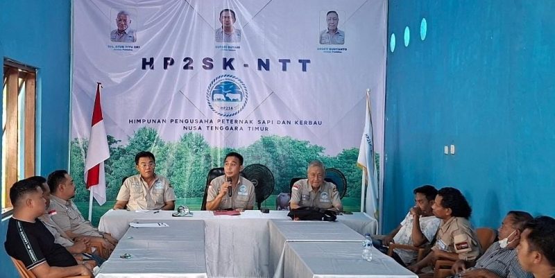 Rapat internal Himpunan Pengusaha Peternak Sapi dan Kerbau Provinsi Nusa Tenggara Timur (HP2SK NTT).