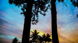 senja di sela pepohonan
gbr ilustrasi: ChatGPT
