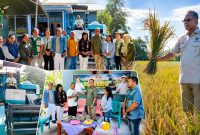Usman Husin bersama Petani di Noekele dan juga berkesempatan melihat langsung kondisi persawahan para petani.