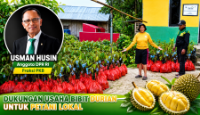 Bantuan aspirasi anakan durian dari Usman Husin, Anggota Komisi IV DPR RI.
