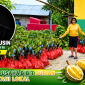 Bantuan aspirasi anakan durian dari Usman Husin, Anggota Komisi IV DPR RI.