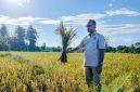 Anggota DPR RI Fraksi PKB, Usman Husin 