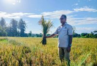 Anggota DPR RI Fraksi PKB, Usman Husin 