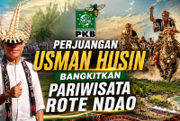 Usman Husin, Anggota DPR RI Fraksi PKB 