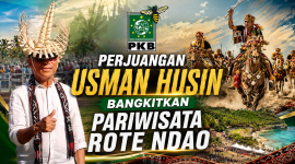 Usman Husin, Anggota DPR RI Fraksi PKB 